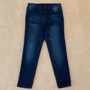 Earl Jeans Skinny Ankle Jeans, Size 12P